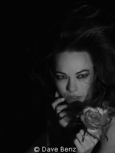 Siren... by Dave Benz 